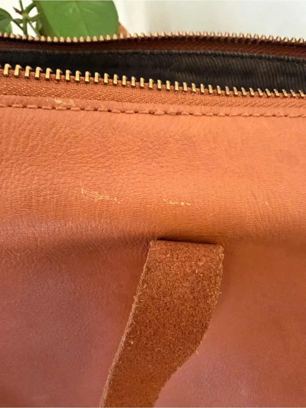 Madewell Zip Top Transport Carryall satchel in rich burnished leather